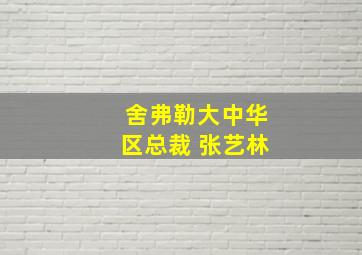 舍弗勒大中华区总裁 张艺林